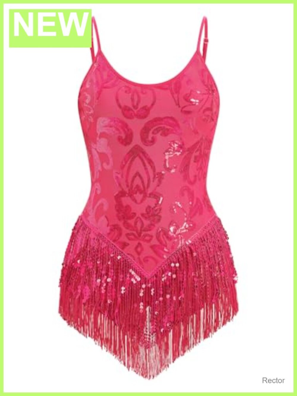 Sequins Fringe Bodysuit Dance Leotard Sleeveless V Neck Latin Jazz Costume